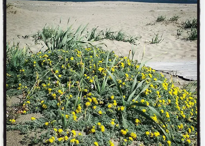 Mirto E Mare Frühstückspension