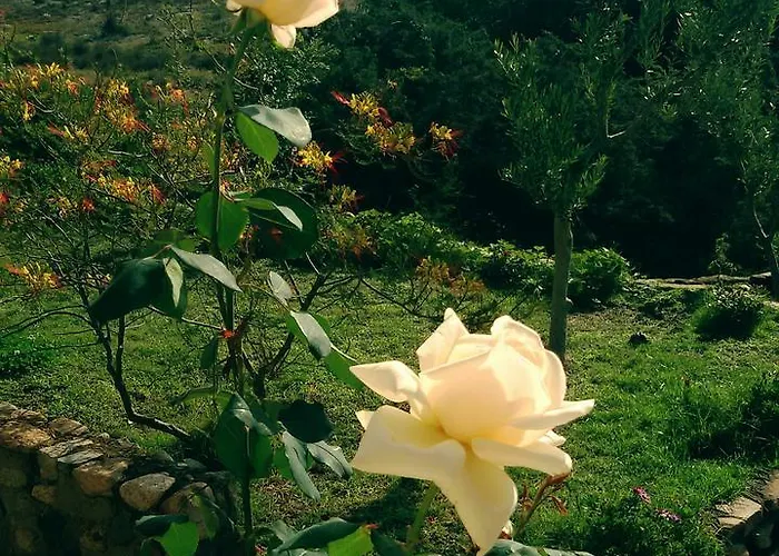 Mirto E Mare Bed & Breakfast