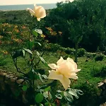 Mirto E Mare Bed & Breakfast