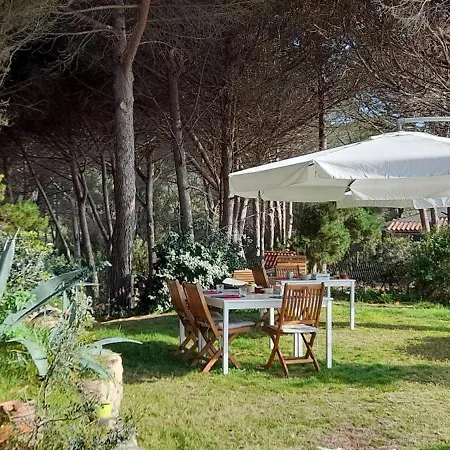 Mirto E Mare Муравьера
