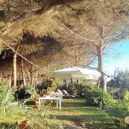 Bed & Breakfast Mirto E Mare *