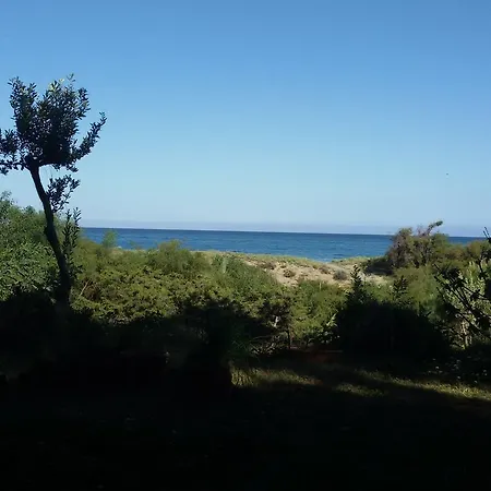 Mirto E Mare Муравьера
