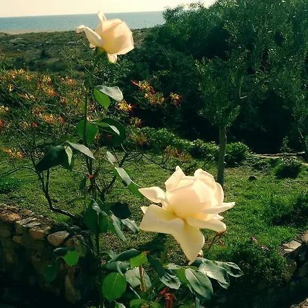 Mirto E Mare Bed & Breakfast